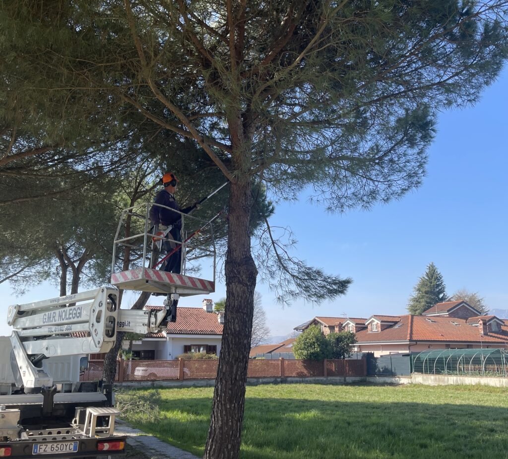 realizzazione-e-manutenzione-giardini-nel-Canavese